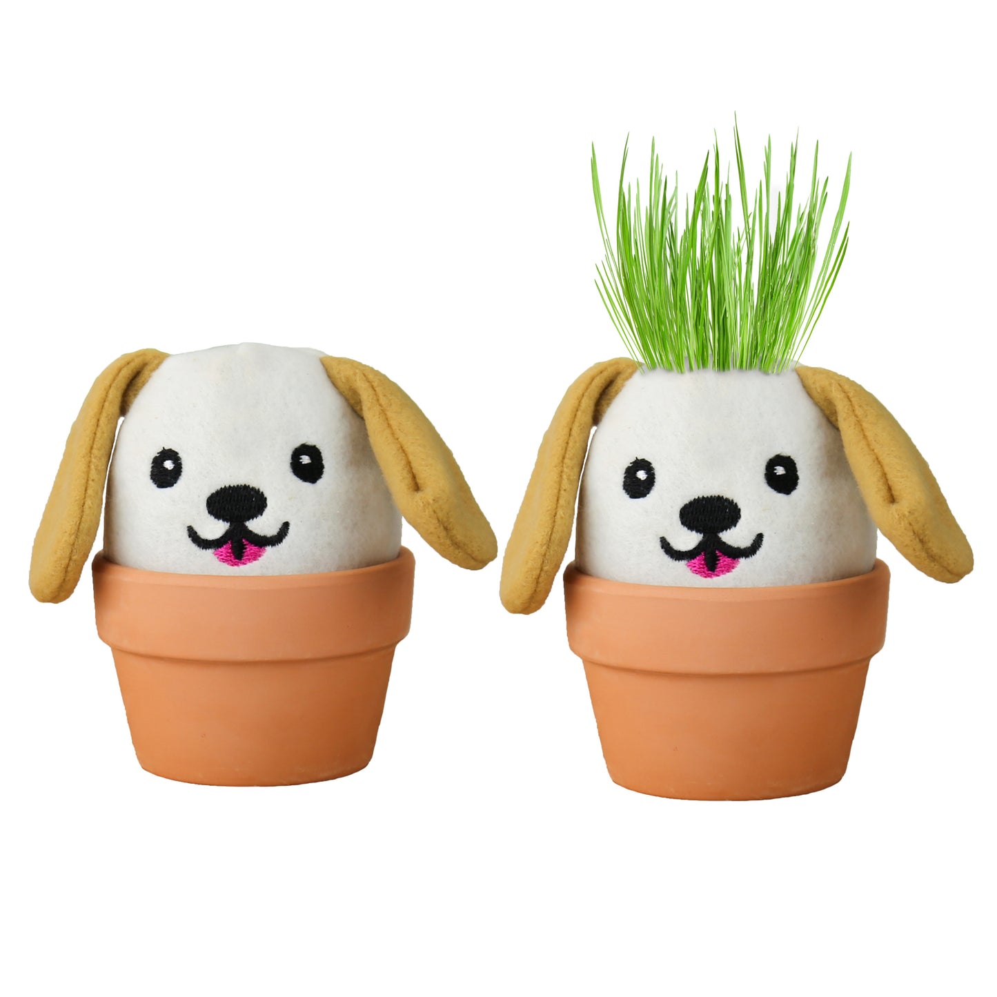 Grow Pals - Dog