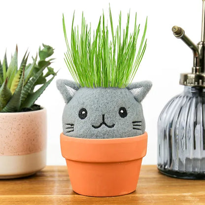 Grow Pals - Cat